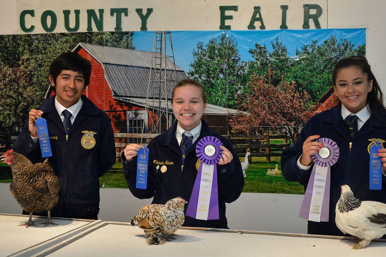 County Fair 4-H and FFA Results
