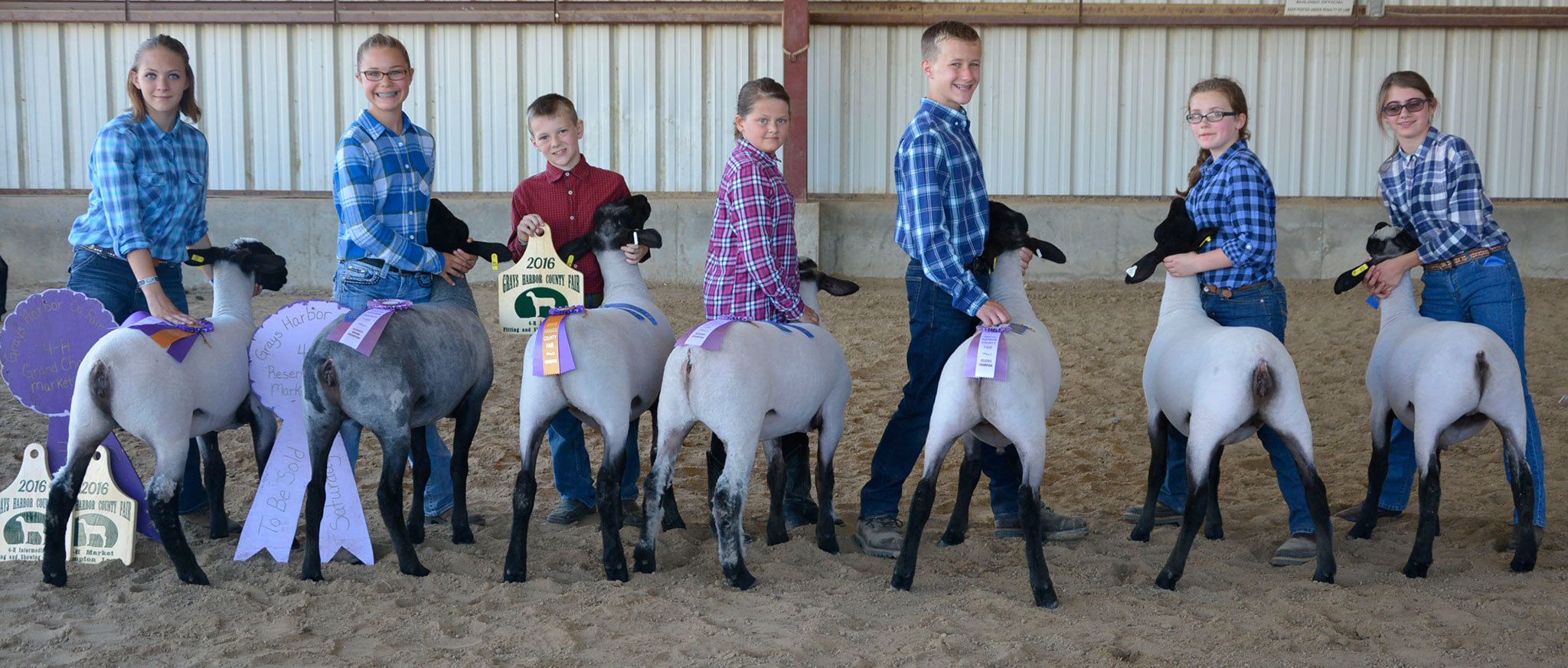 County Fair 4-H and FFA Results