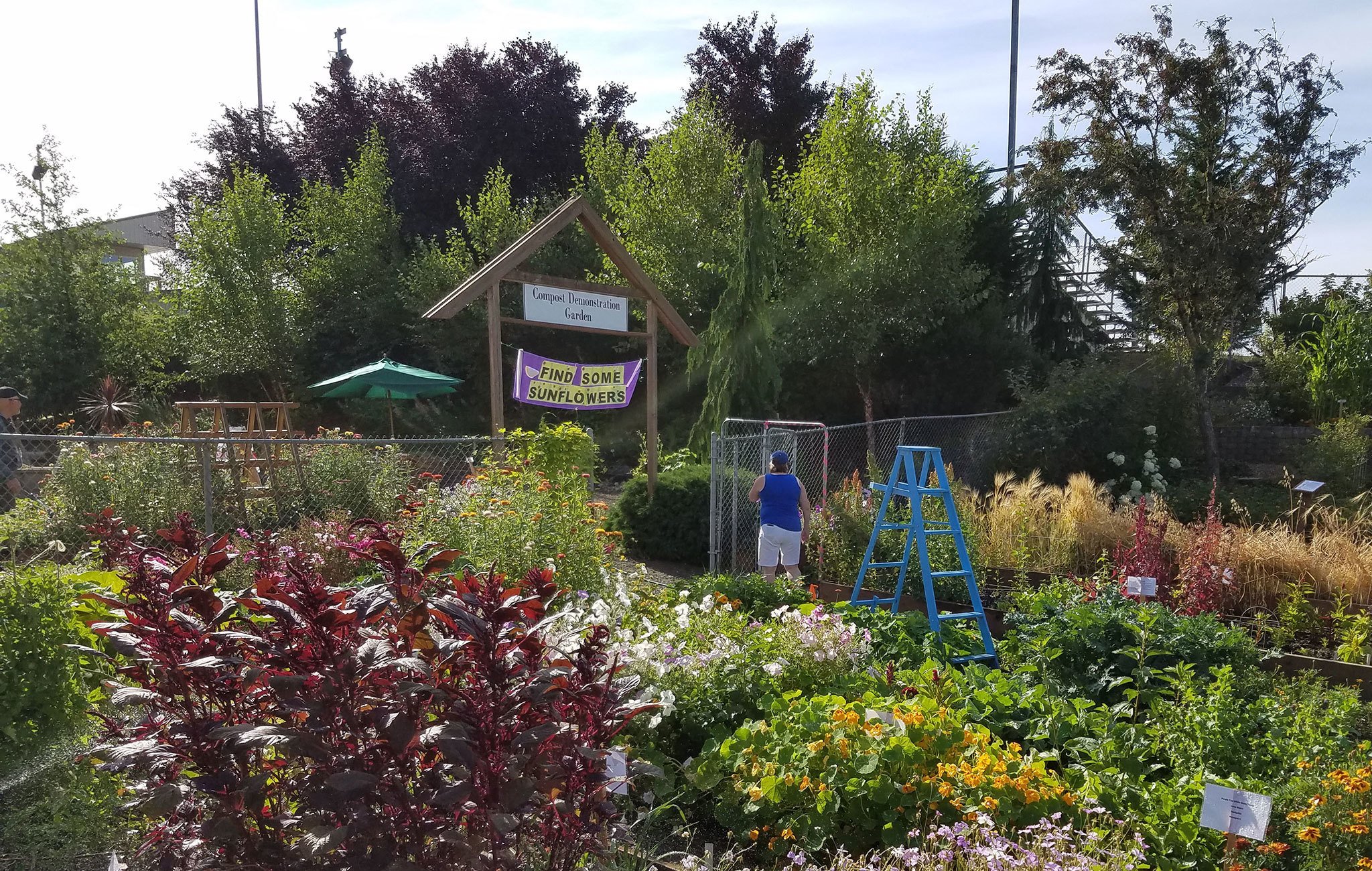 Master Gardener First Saturday Series Begins Sept. 3