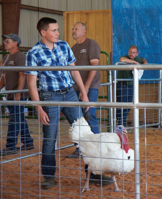 Monte teen raises championship steers