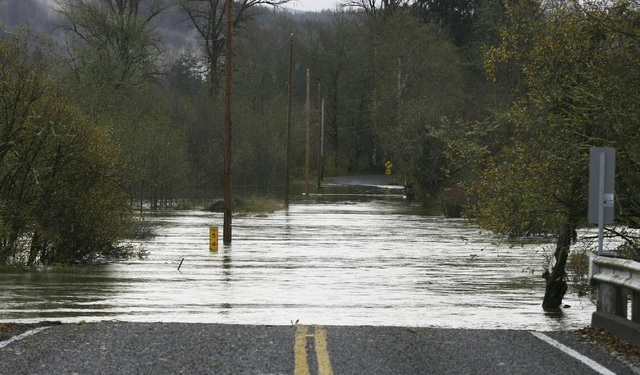 (Corey Morris | The Vidette) Wenzel Slough Road at Vance Creek was impassible on Nov. 18, 2015, due to flood waters. A draft programmatic EIS has been released for the Chehalis Basin Strategy which looks to mitigate flooding impacts throughout the basin.