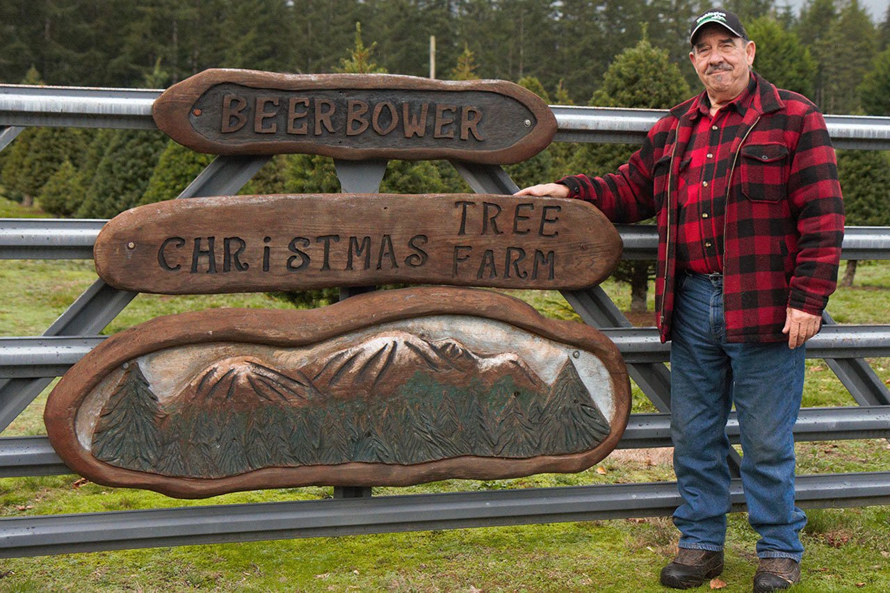 Christmas trees are a labor of love for local farmers