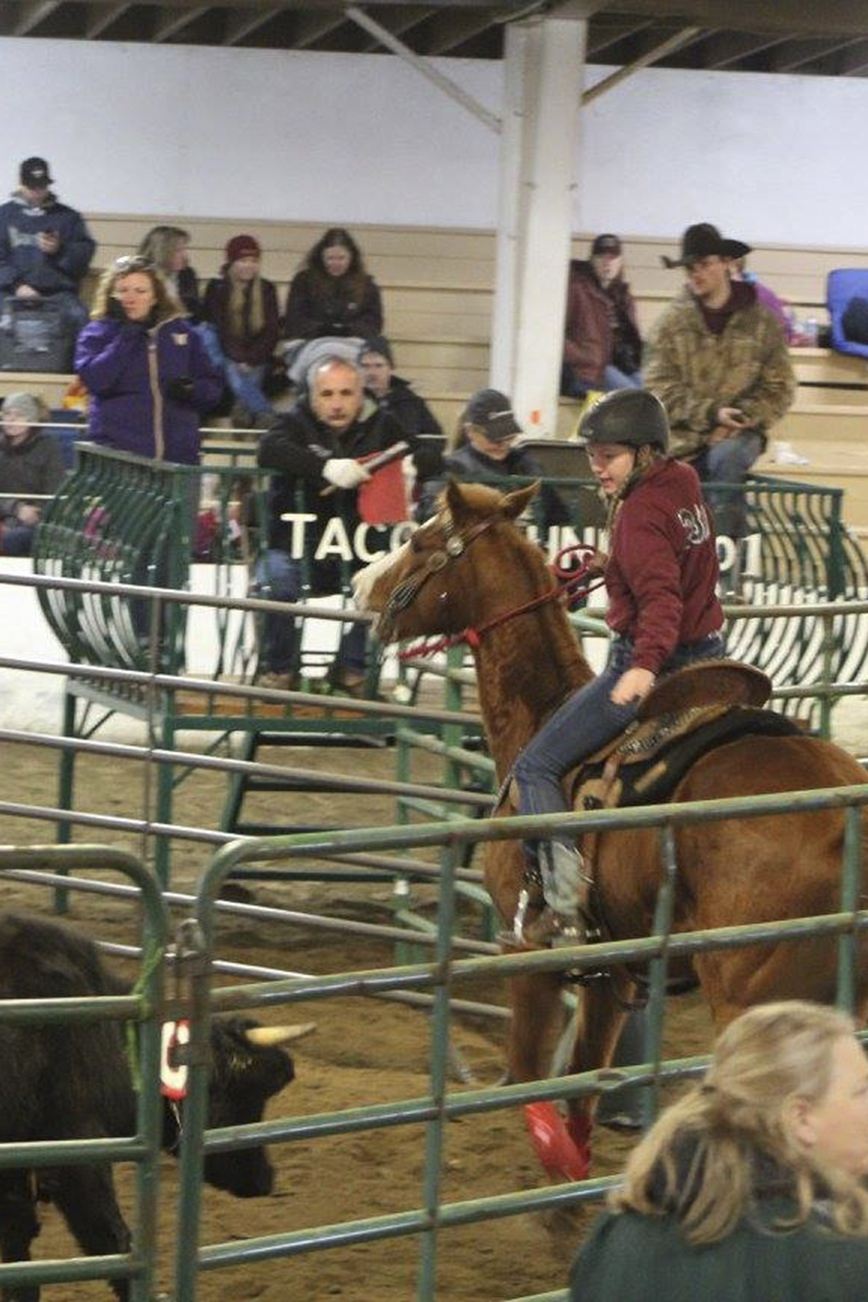 Monte equestrian team trotting onward