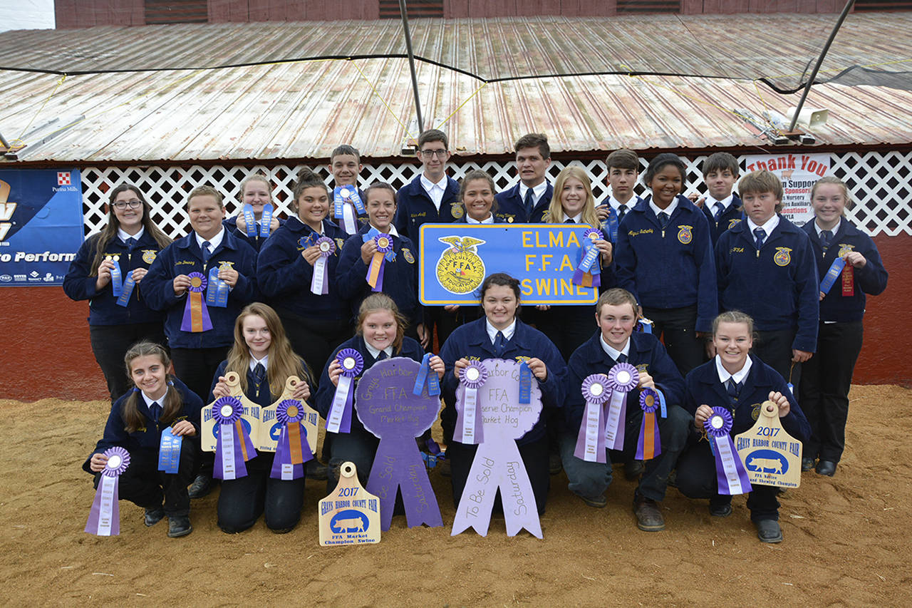 Picture: FFA Hog Group FFA members from Elma FFA competed for several awards during the GH Co. Fair Swine Show. Pictured from left, top row: Abigail Spoonhoward, Dustin Downing, ReAnna Gibson, Corrina Torres, Dave Downing, Tawni Heller, Kilian Acuff, Chloe Velasco, Mickey Velasco, Emily Rockey, Cade Zimmerman, Ale Bol, Sawyer Witt, Zach Boren, and Shayla Kelly. Bottom row: Kelsey Hartely, Taylor Kershaw, Morgan Thompon, Albert Swalander and Grace Potts.