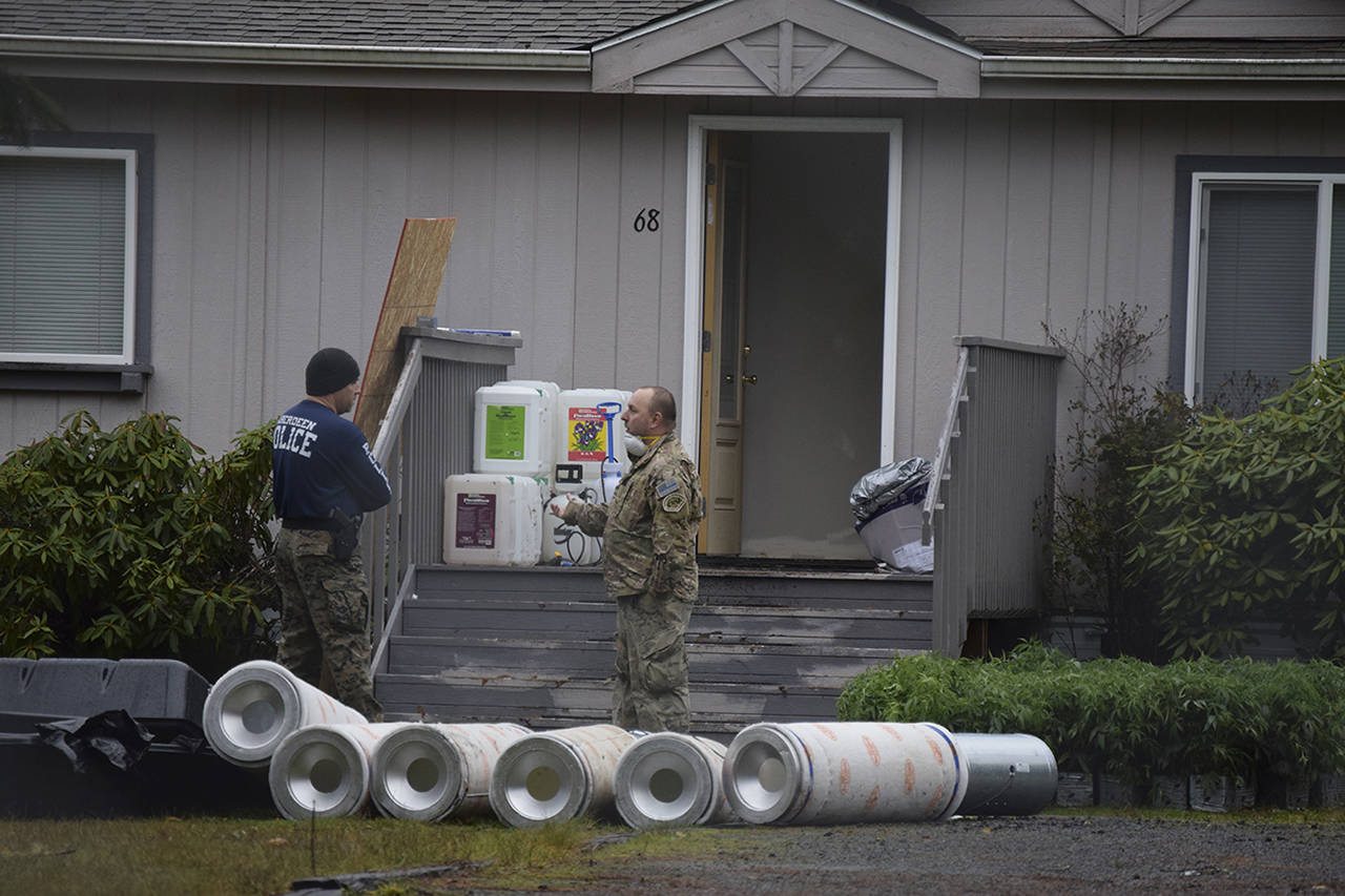 Organized illegal pot grows busted throughout county