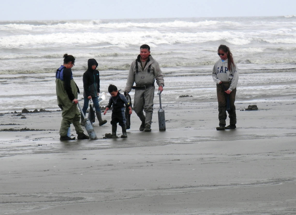 North Beach clam digs on alternating days this week