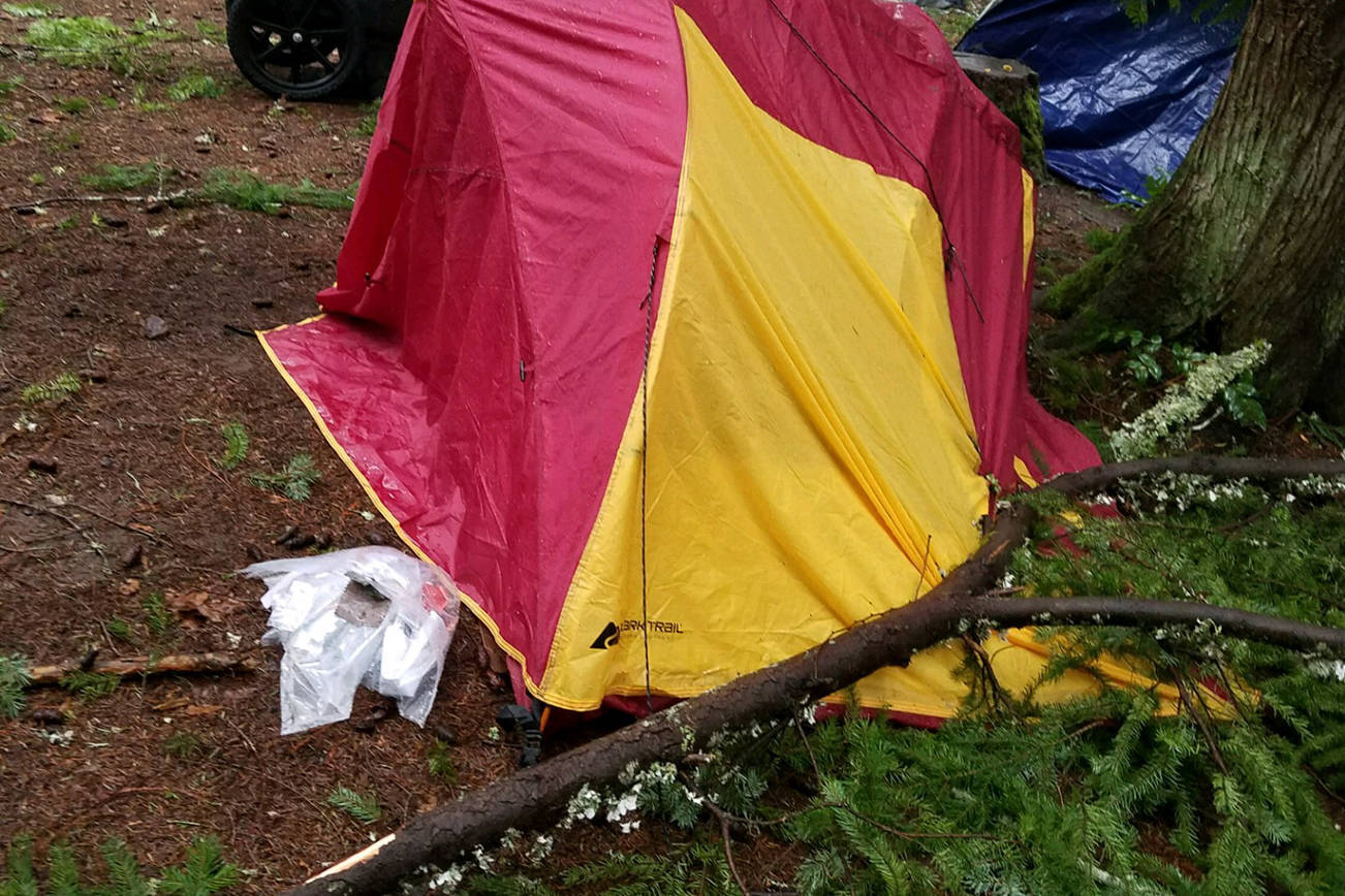 Scouts’ winter camporee cut short by windstorm