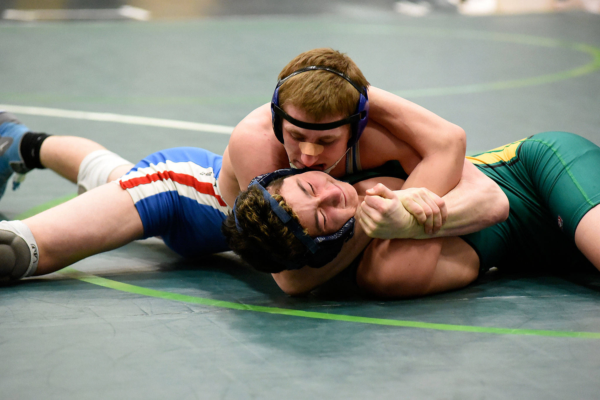 Eight Twin Harbors boys nab wrestling regional titles