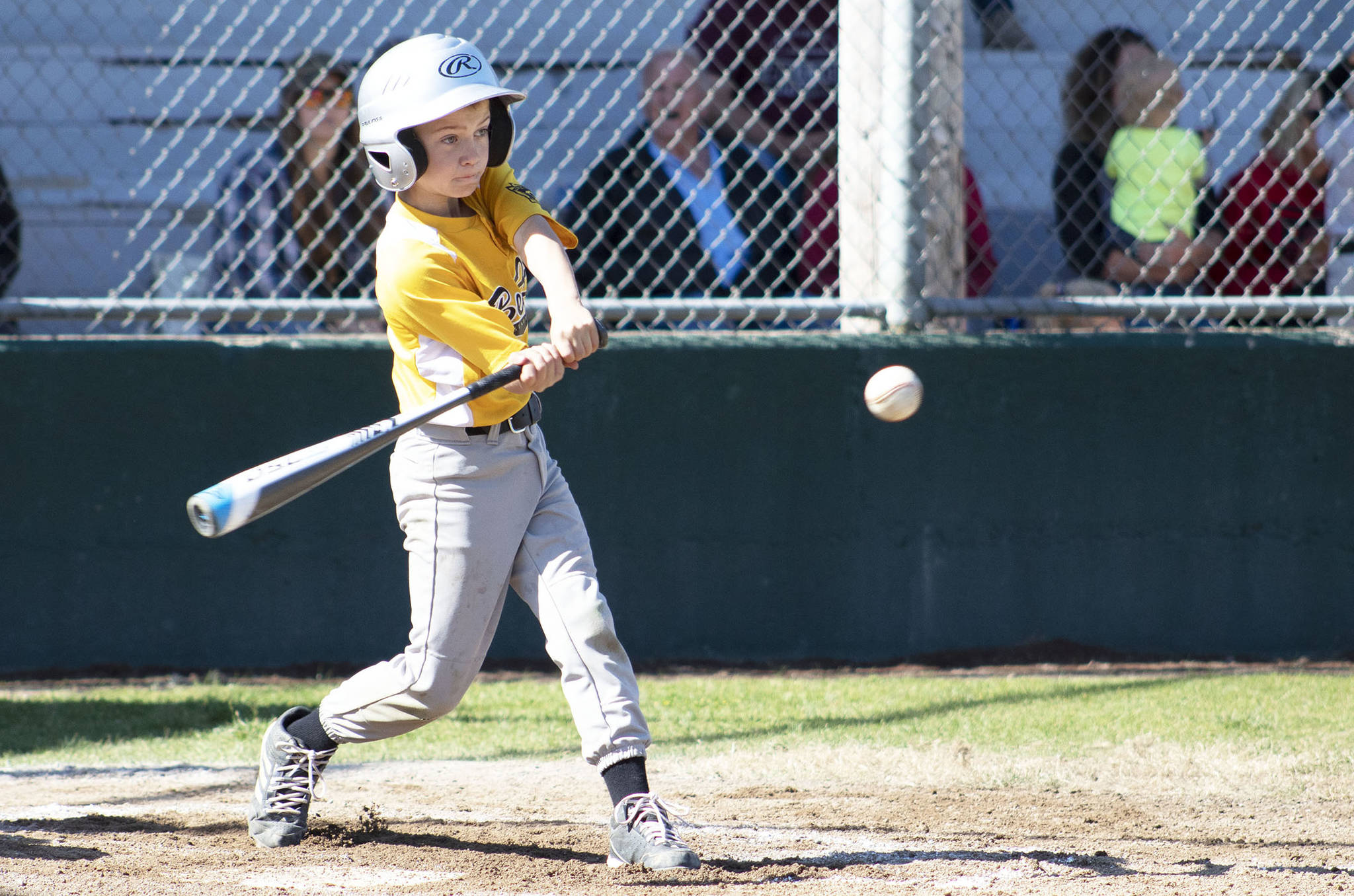 Montesano Little League All-Stars announced