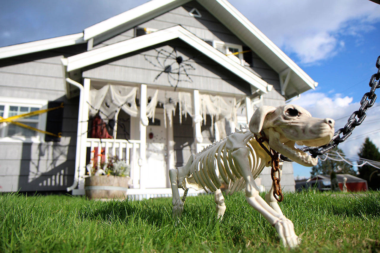 Andy and Cortney Milles’ house on Glenn Road North east of Montesano is decked out for the season.