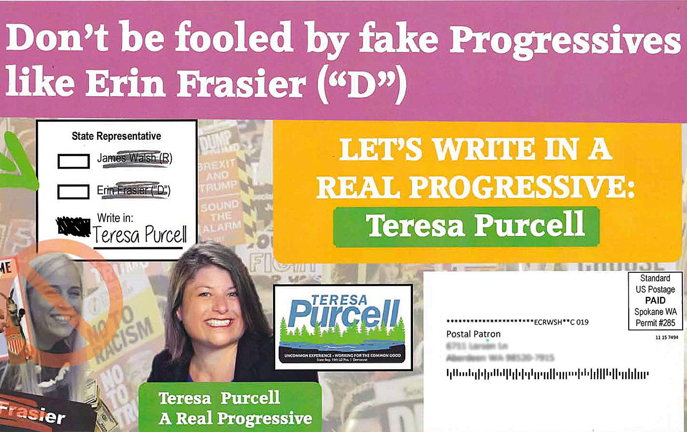 The mailer sent to 19th Legislative District voters urging them to write in Teresa Purcell in place of Erin Frasier in Frasier’s race against incumbent Republican Jim Walsh.