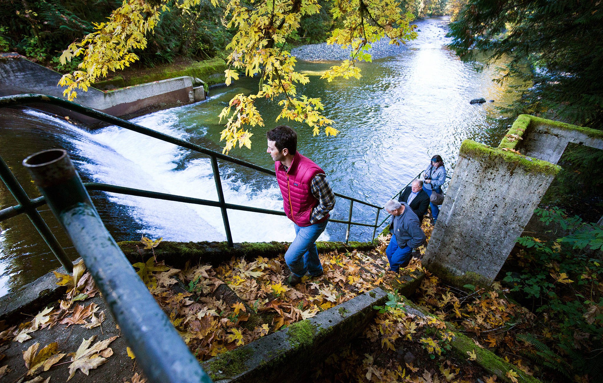 Tulalip Tribes restoration ecologist Brett Shattuck, in red vest, takes a tour group up the steps of the Pilchuck Dam along the Pilchuck River on Tuesday, Oct. 16, in Granite Falls. (Andy Bronson / The Herald)