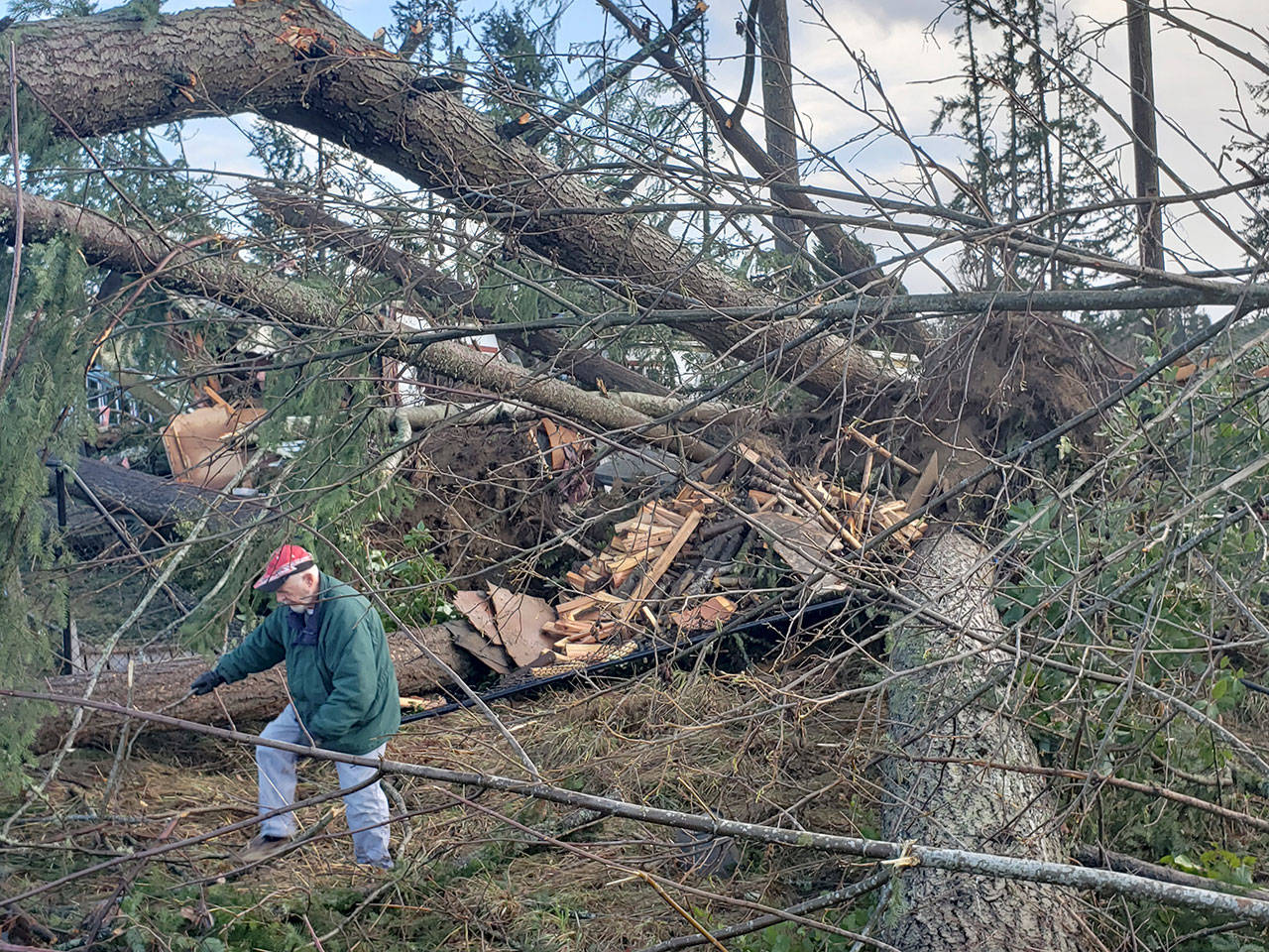 Skip Olmsted, who lives on Southeast Serenade Way, navigates his way around downed branches on his property after a tornado struck a portion of Port Orchard. (Robert Zollna/Kitsap News Group)