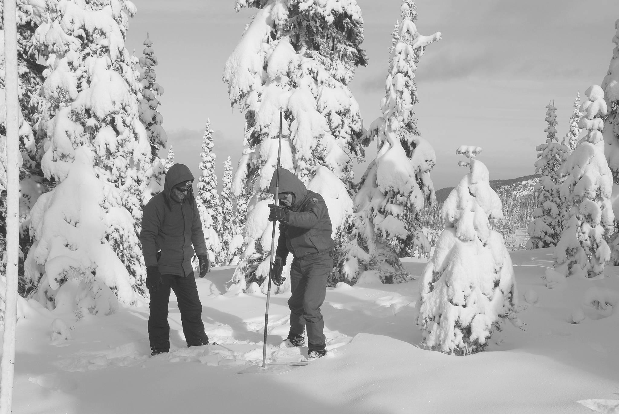 Limited Access to Olympic National Park during government shutdown