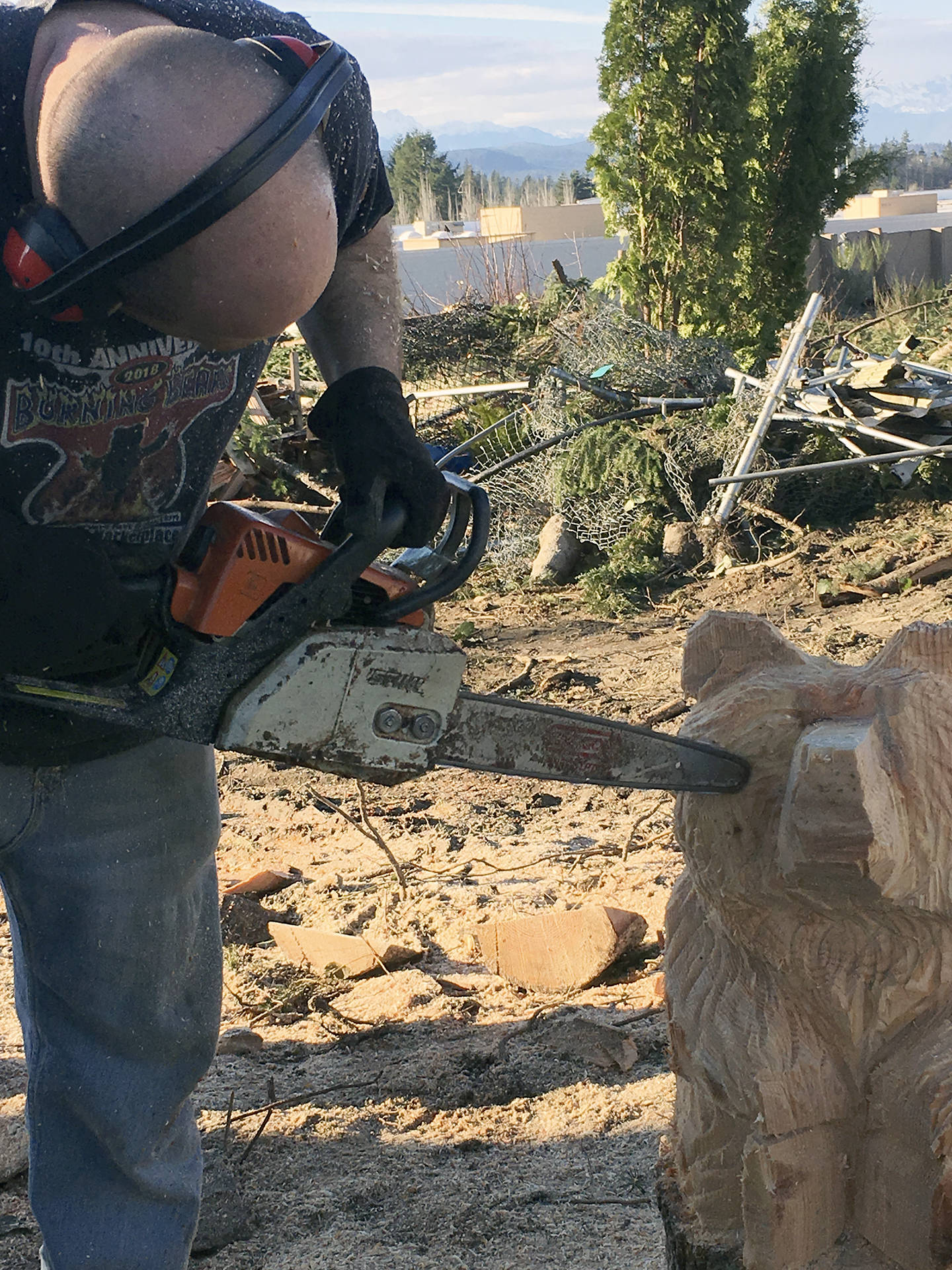 KAT BRYANT | GRAYS HARBOR NEWS GROUP                                Chainsaw artist Brandon Levesque, owner of BAD Yard Art near Hoquiam, created many of his signature bears out of wood from trees felled by the tornado.