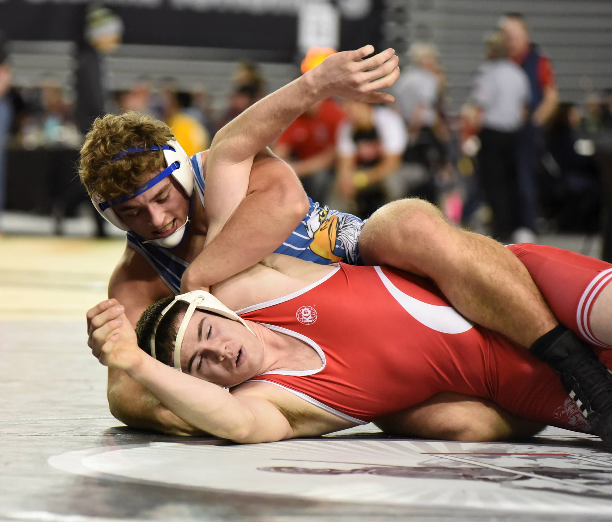 Seventeen local grapplers earn state medals at Mat Classic XXXI