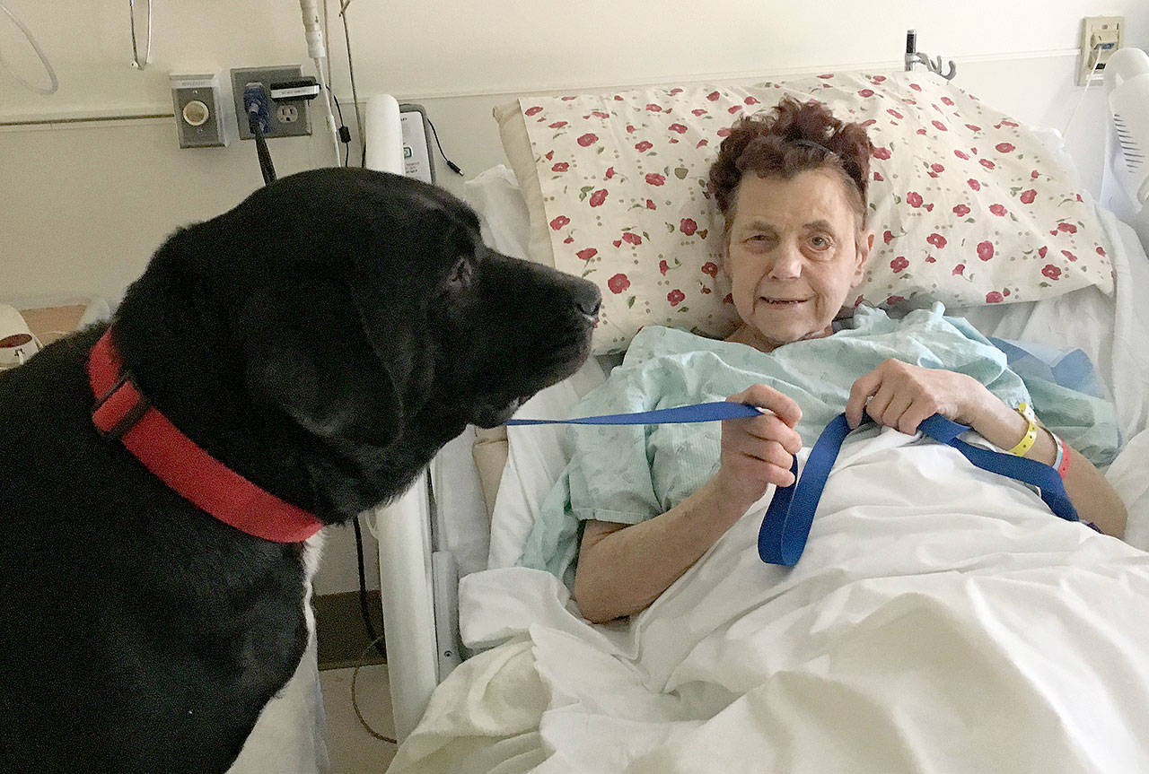 Duke visits his human in hospital