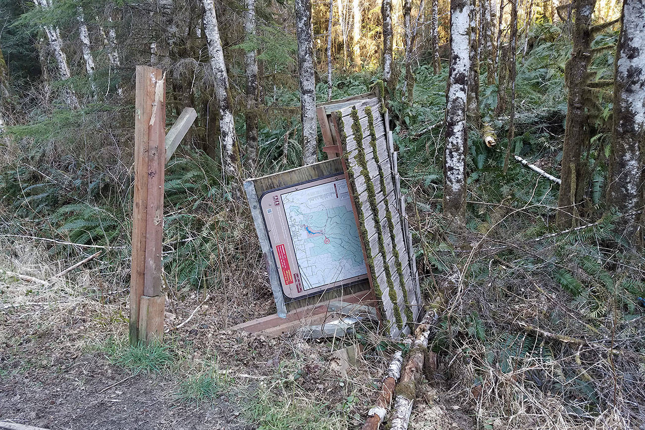 (Photo courtesy Loren Hiner, City of Montesano) Montesano Forester Loren Hiner says vandals destroyed this trail map sign on city-owned forest land. The sign had been installed recently as part of an Eagle Scout project. Hiner has recommended to the city Forestry Committee that the lands be blocked to vehicular traffic.