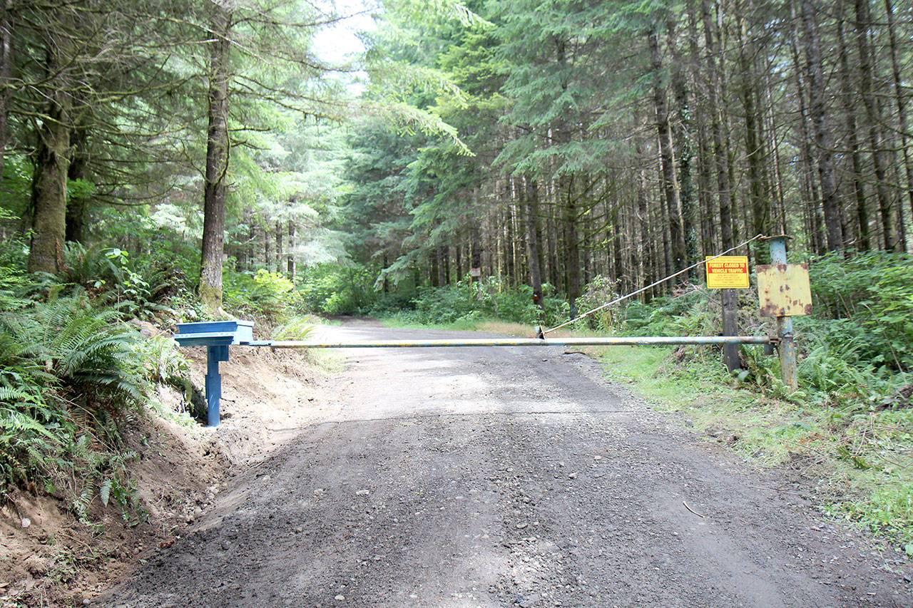The gates across access roads to Montesano’s forest property will be locked at least through Labor Day. The city has decided to lock the gates because of increased fire hazard after increased vandalism in the forest. (Photo taken Friday, July 12, 2019, by Michael Lang | Grays Harbor News Group)
