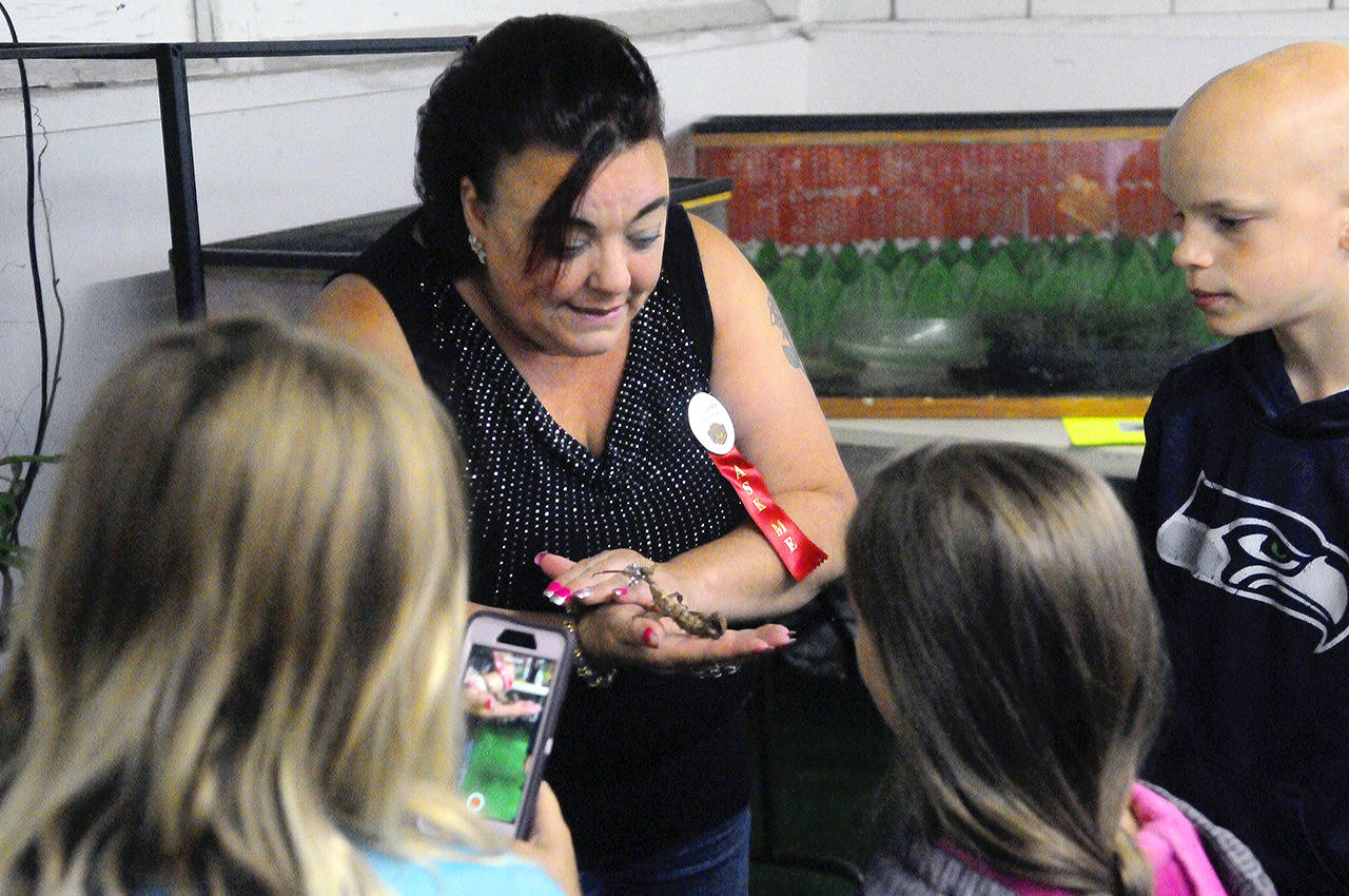 Hasani Grayson | Grays Harbor News Group                                A fair volunteer shows off a stick bug to a group of children at the Grays Harbor County Fair on Wednesday.