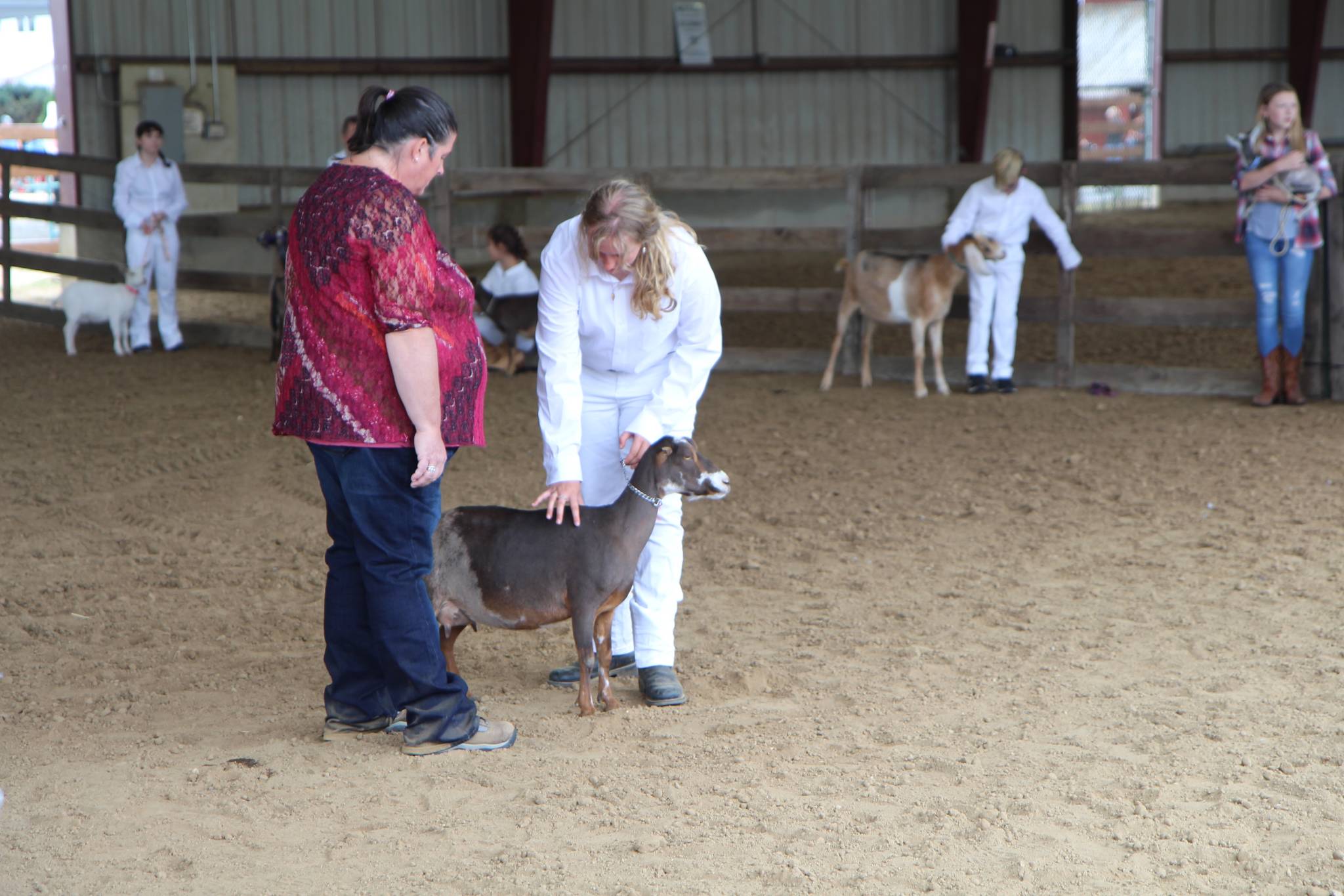 Animal showings continue at the Grays Harbor County Fair in Elma through the weekend.