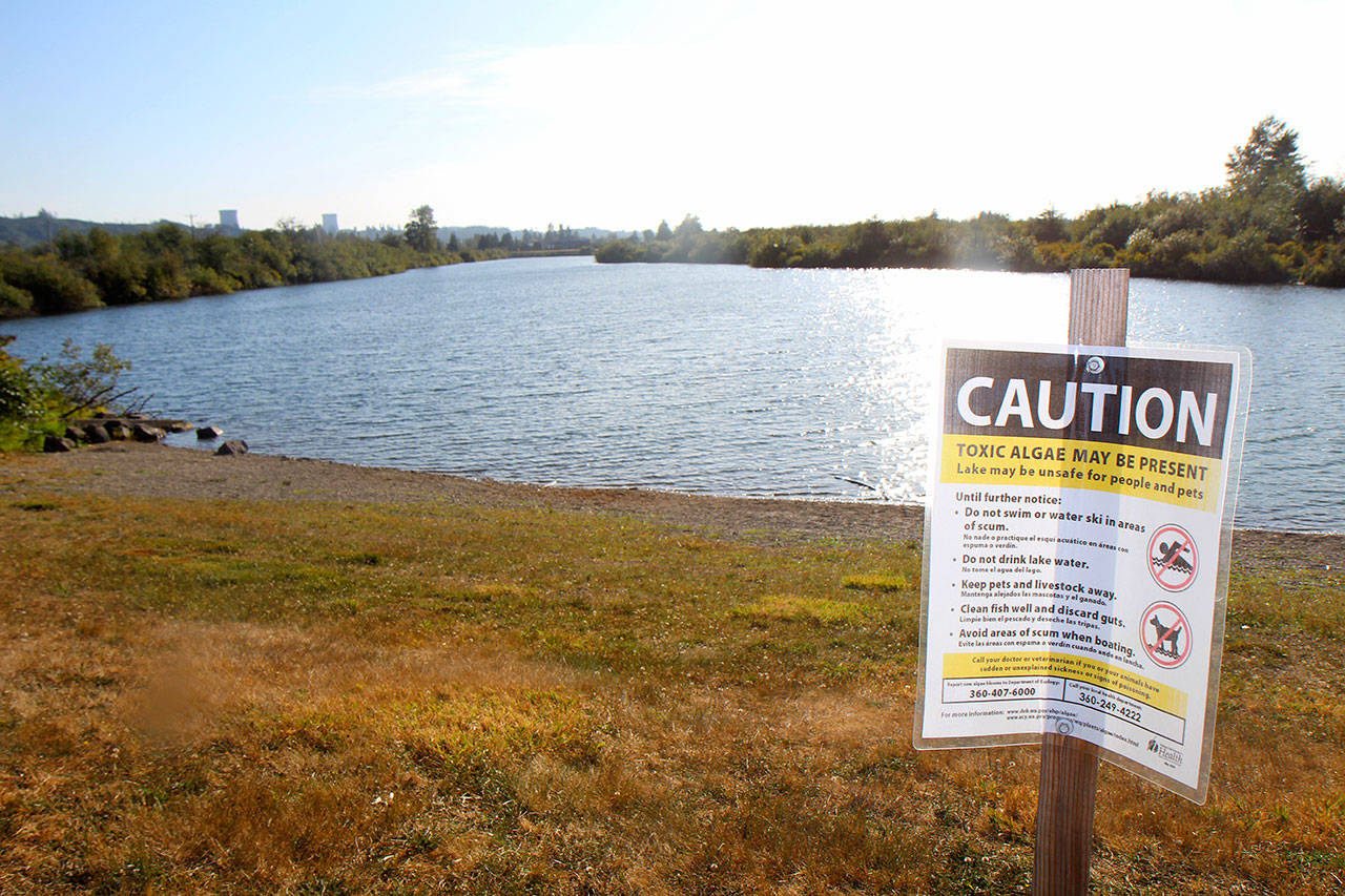 A sign is posted beside Vance Creek County Park Pond No. 2 on Monday south of Elma. The county has issued an warning about the presence of blue-green algae in the water. The algae can make people sick or be fatal to animals, including pets. Residents are advised to stay out of the water. (Michael Lang | Grays Harbor News Group)