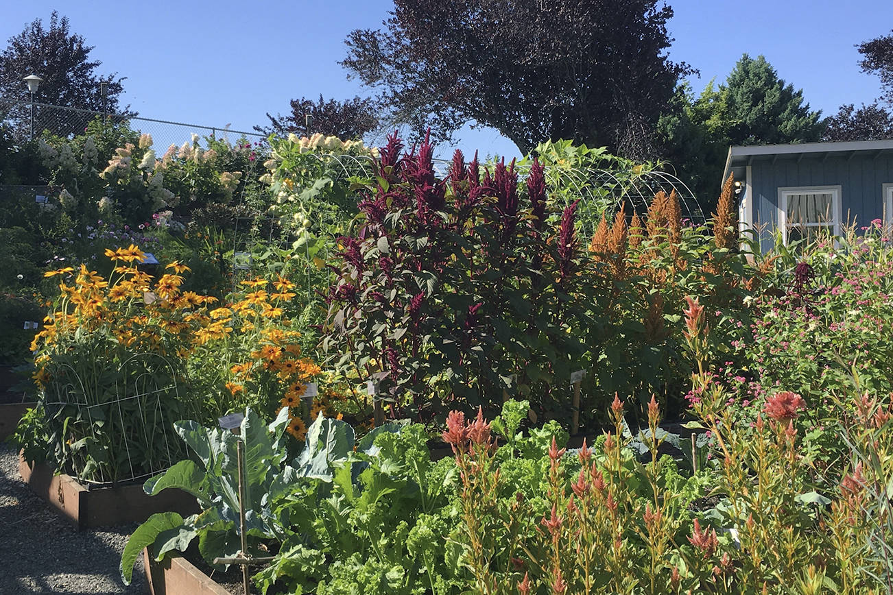 Master Gardener: First Saturday workshops return