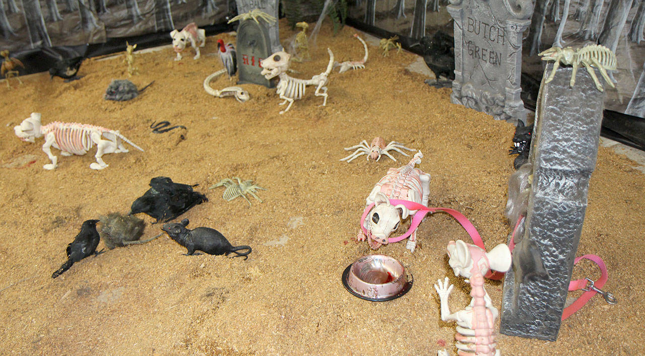 Michael Lang | Grays Harbor News Group                                Scares, including these ghoulish pets, wait for those brave enough to enter the Frightmare in Elma haunted house, which is put on the Elma Chamber of Commerce, at the fairgrounds.