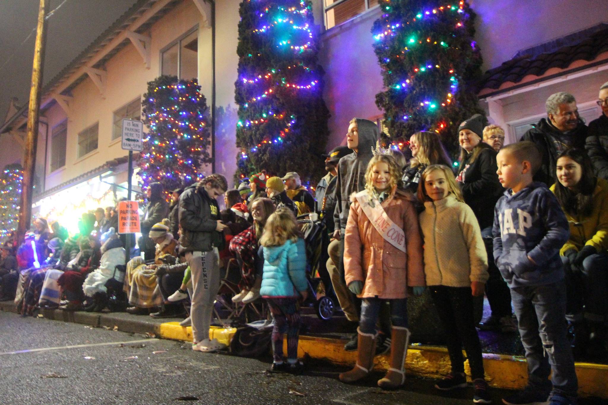 Festival of Lights parade in pictures