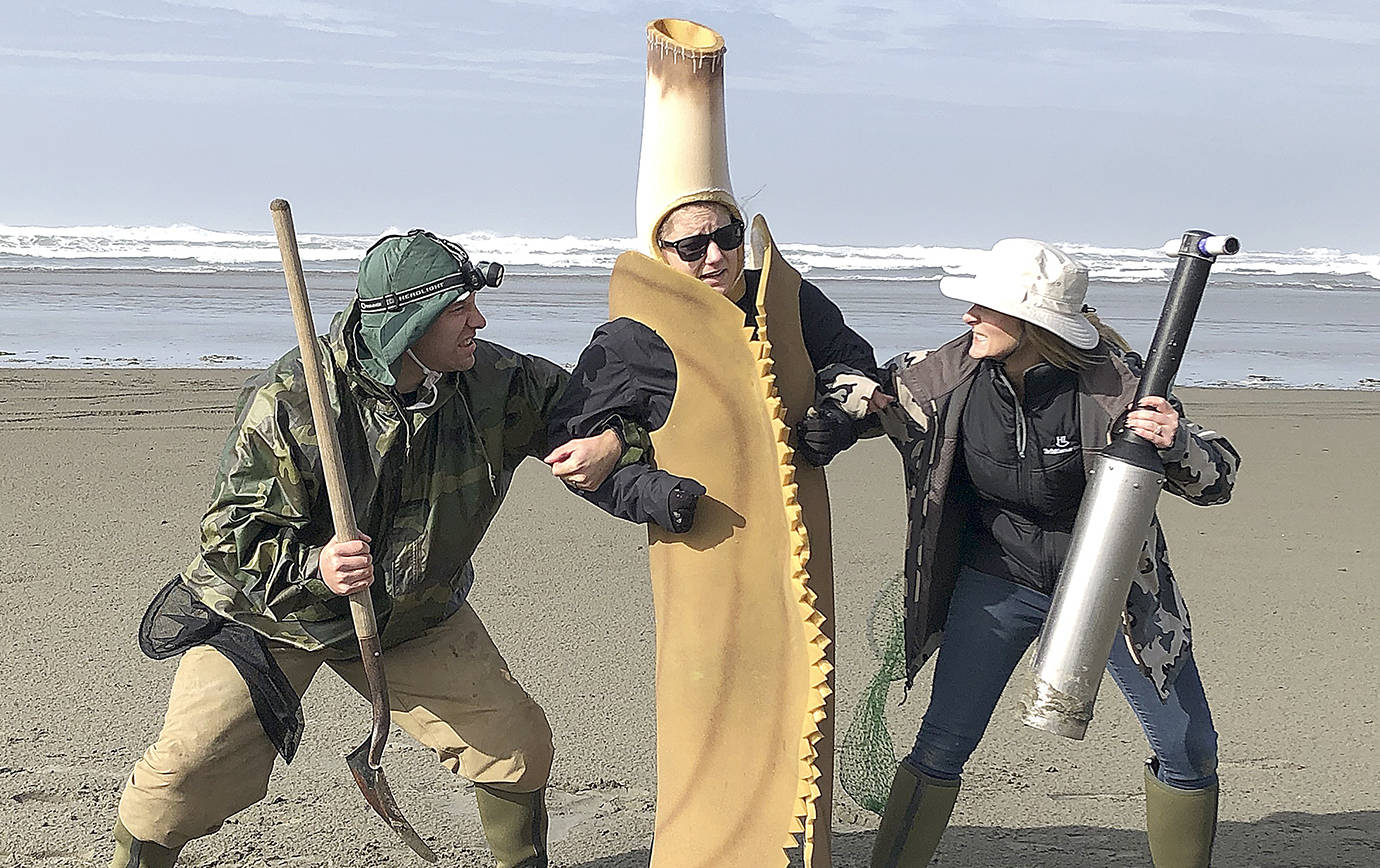 COURTESY DEPARTMENT OF FISH AND WILDLIFE                                The Department of Fish and Wildlife is asking razor clam fans around the state to weigh in on the perennial question: Which is better, clam gun or shovel? To register support for a favored digging method, clam diggers can post a photo or video, complete with hashtag #TeamClamShovel or #TeamClamGun on any social media before the end of the spring season.