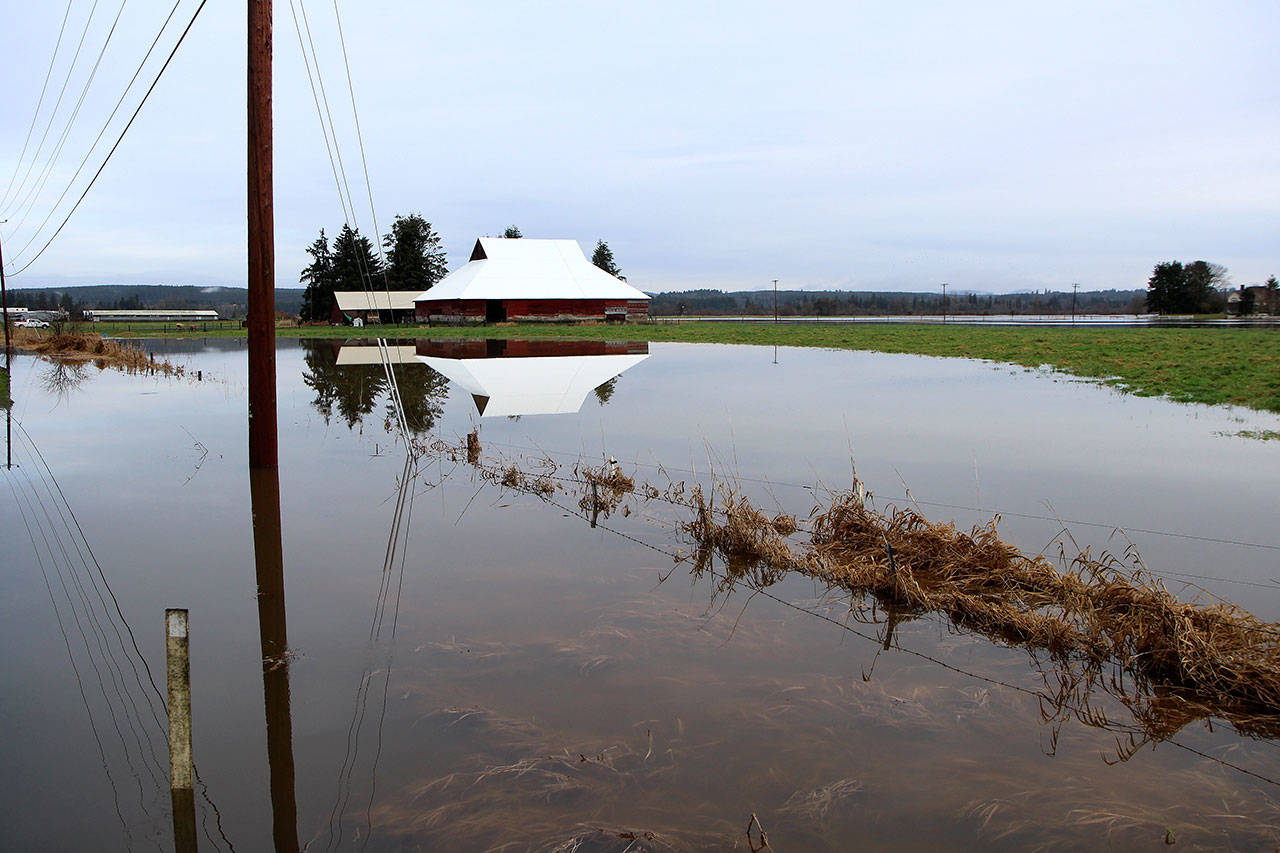 A barn is reflected in a flooded field Wednesdayoff Keys Road. (Michael Lang | Grays Harbor News Group)