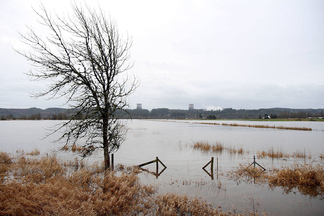 Many farm fields are flooded Wednesday in the East County. (Michael Lang | Grays Harbor News Group)