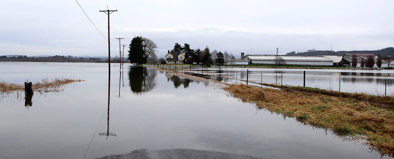 Water surrounds a house Wednesday on Wenzel Slough Road. (Michael Lang | Grays Harbor News Group)