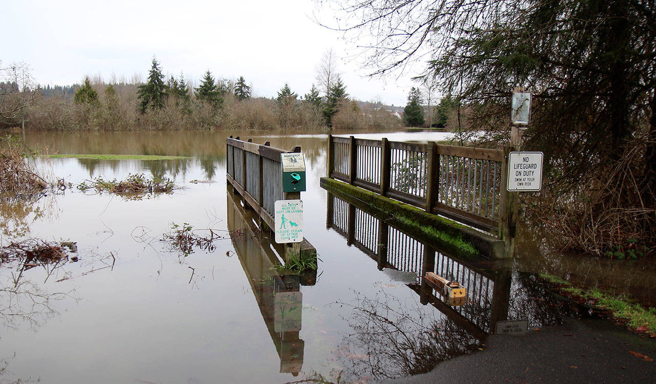 Vance Creek Pond 1 is swelled to flood the path around it Wednesday. (Michael Lang | Grays Harbor News Group)
