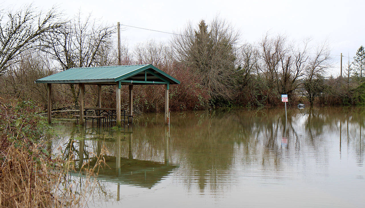A shelter at Vance Creek County Park is flooded Wednesday near Elma. (Michael Lang | Grays Harbor News Group)