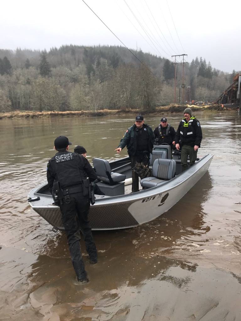 Grays Harbor Sheriff’s Office deputies and Washington Department of Fish and Wildlife officers escort a suspect Saturday from the Wynoochee River. (Photo courtesy Undersheriff Brad Johansson)