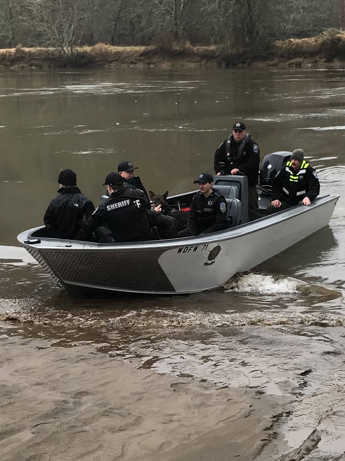 Grays Harbor Sheriff’s Office deputies and Washington Department of Fish and Wildlife officers escort a suspect Saturday from the Wynoochee River. (Photo courtesy Undersheriff Brad Johansson)
