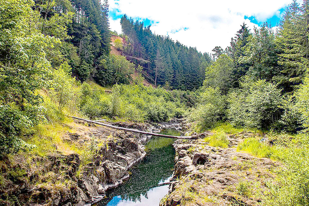 The area Near Pe Ell, where crews plan to build the proposed dam. (File Photo)