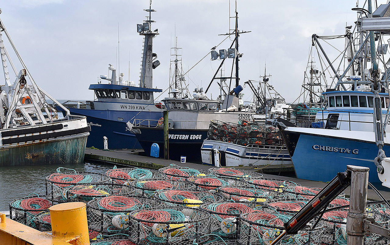 DAN HAMMOCK | GRAYS HARBOR NEWS GROUP                                 Commercial crab boats in the Westport Marina load up before the January opener. The usually lucrative live crab trade to China was shut down this season due to the coronavirus.