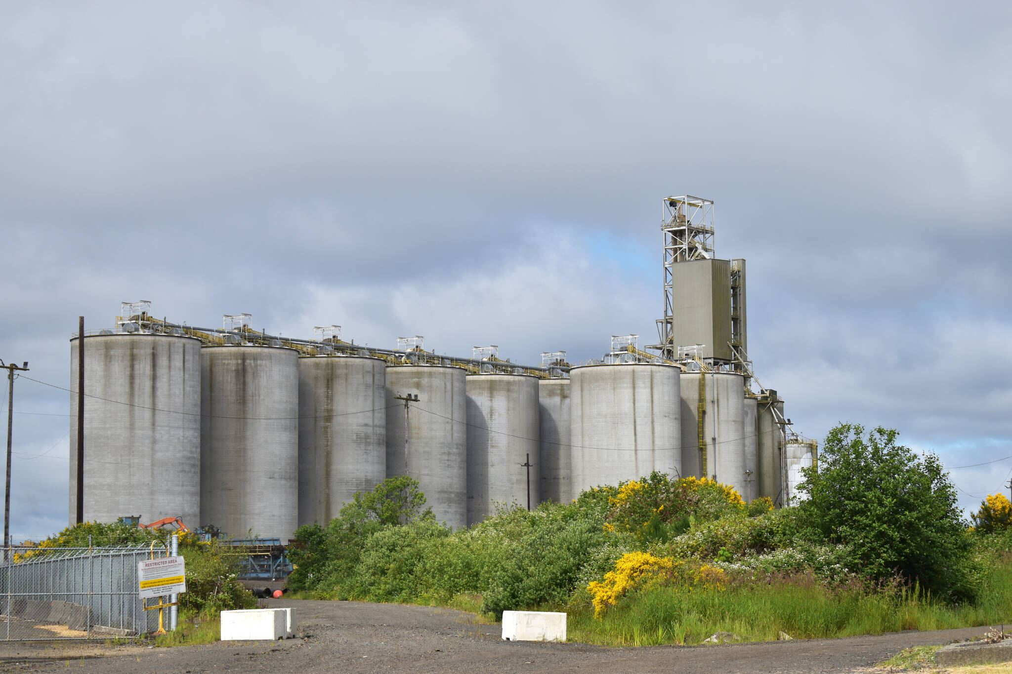 Port of Grays Harbor announces timelines for Terminal 2, Terminal 4