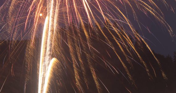 (Gabe Green | The Daily World)
                                A crowd gazes from the Seaport Landing in Aberdeen at a fireworks display.