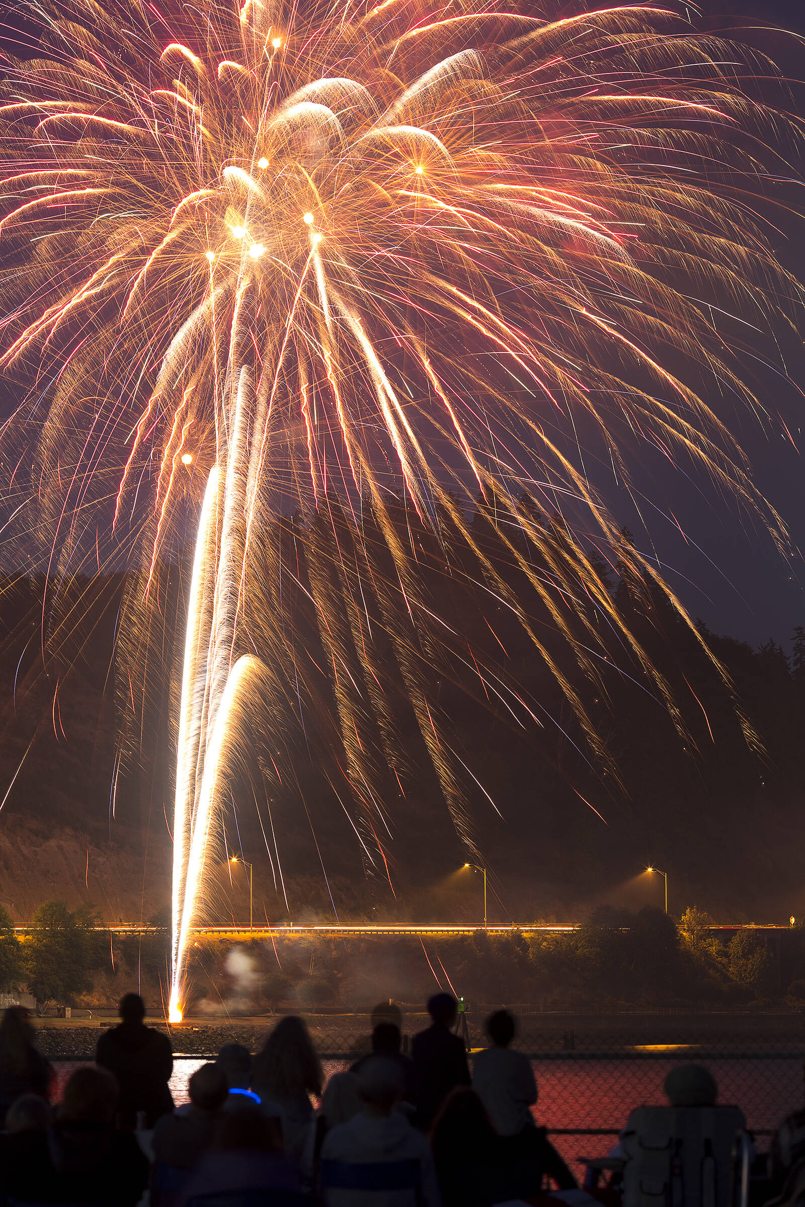 (Gabe Green | The Daily World)
                                A crowd gazes from the Seaport Landing in Aberdeen at a fireworks display.